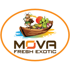 web_Mova_fresh_logo_2023